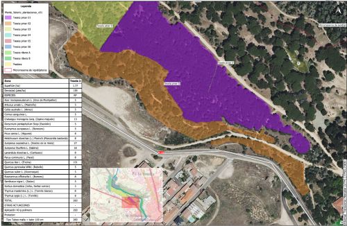 imagen principal Abierto el plazo de licitación del proyecto de la fase B de la actuación B4