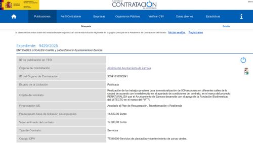 imagen principal Abierto el plazo de presentación de ofertas para la renaturalización de 500 alcorques