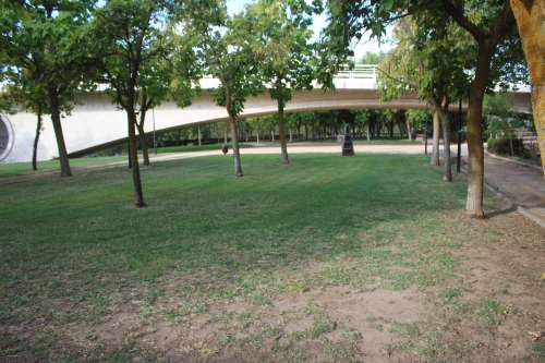 imagen principal B2 Jardín autóctono de ribera. Parque de Olivares