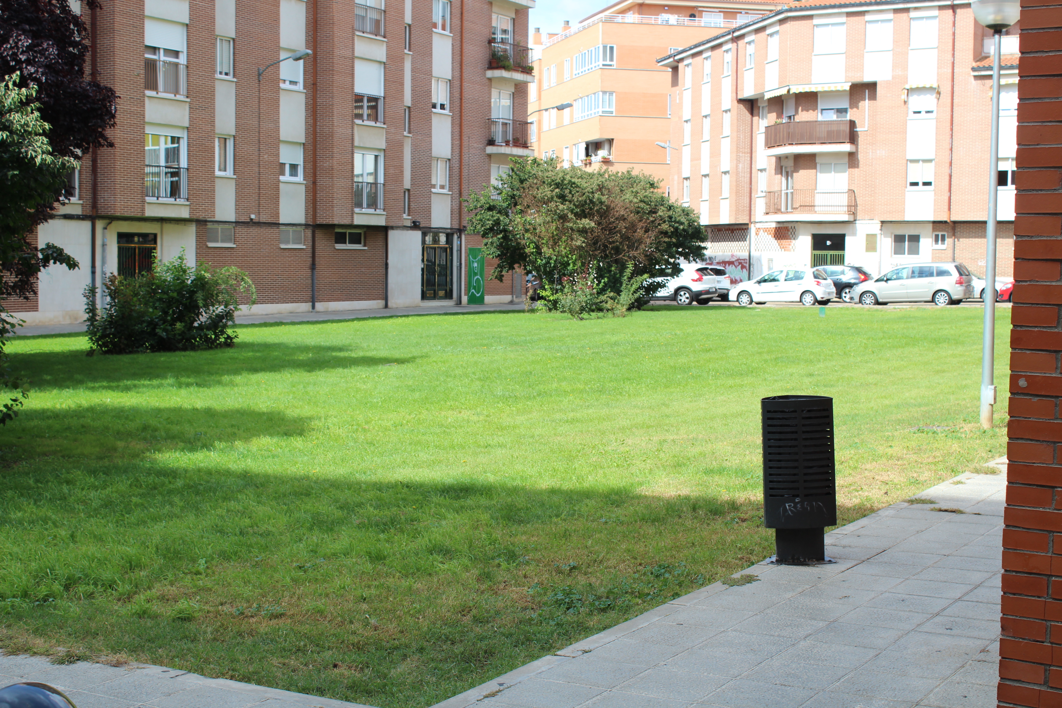 imagen principal B7 Un microbosque autóctono urbano. Los jardines de Valderrey