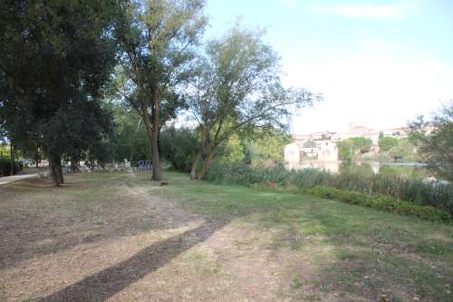 imagen principal Iniciado el proceso de contratación de la actuación B1 - Mejora del bosque de ribera