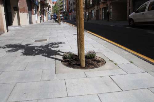 imagen principal Primera fase de la renaturalización de alcorques