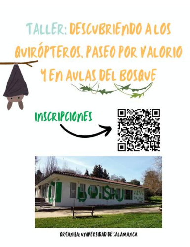 imagen principal Taller Descubriendo Quirópteros